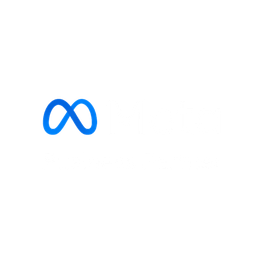 Meta Business Partner - Certified